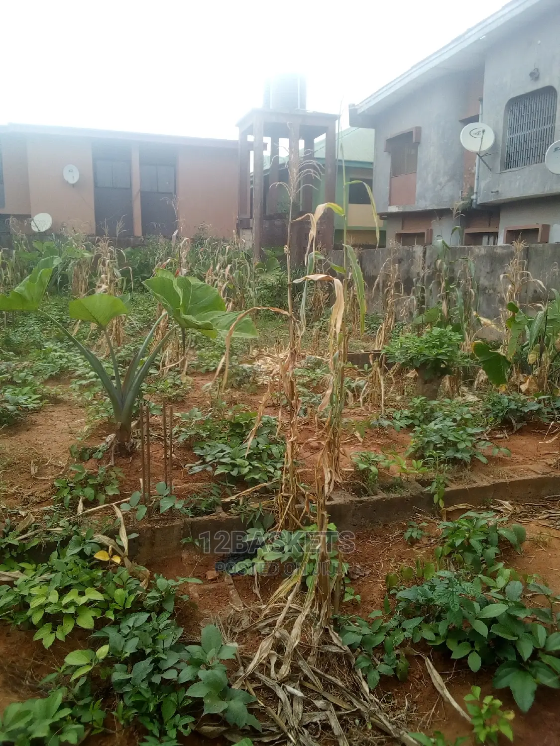 Complete Half Plot at Alagbole in Ojodu