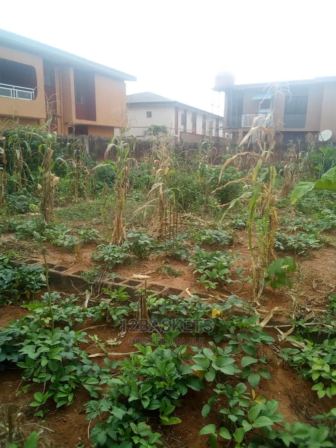 Complete Half Plot at Alagbole in Ojodu
