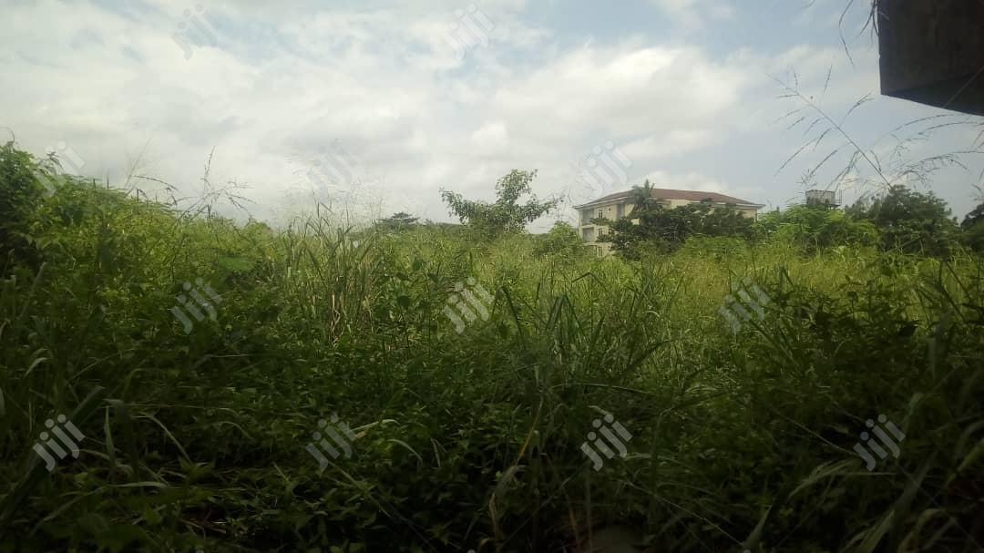 2 and Half Plot of Land Beside Indomie in Ado-Odo/Ota