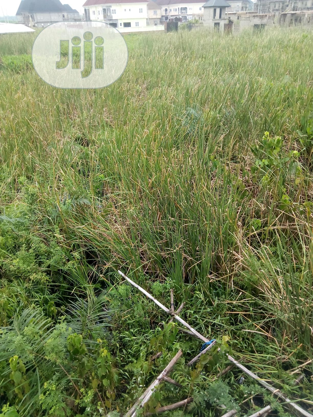 Plots of Land at Festac Abule-Ado for Sales in Amuwo-Odofin