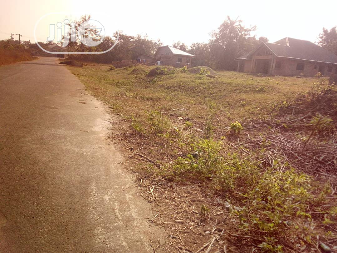 Plots of Land After Railway Port Alabata Road Moniya Ibadan in Akinyele