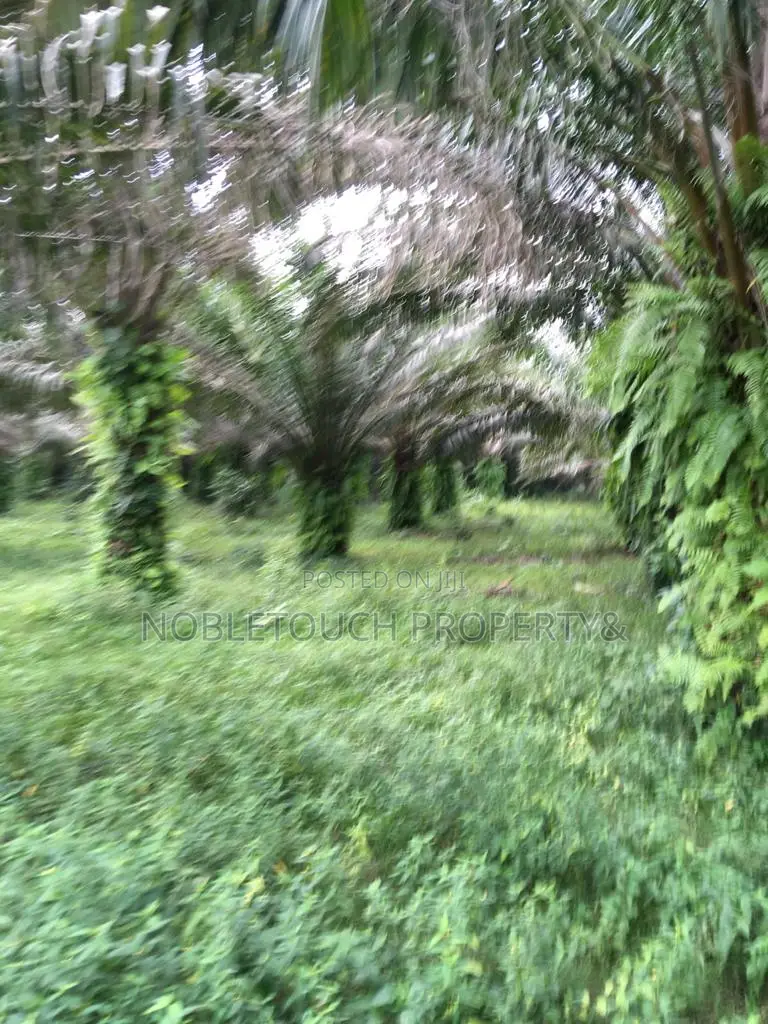 Vegetable Oil Factory At Sango Ogun State in Ado-Odo/Ota