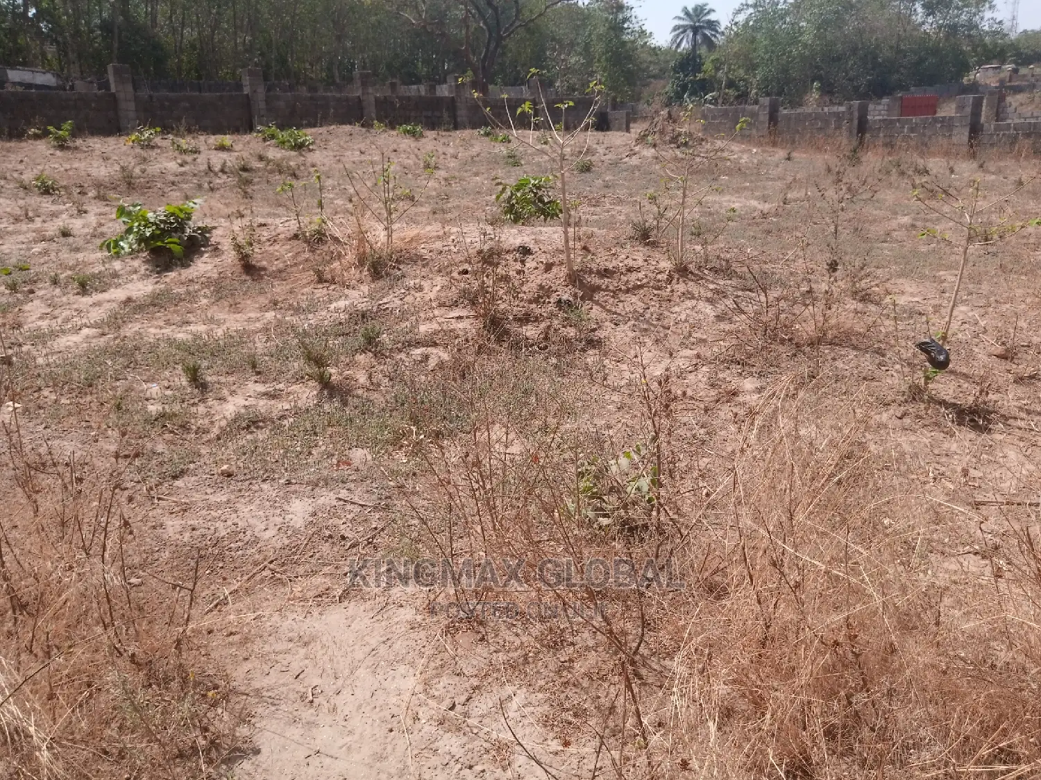 Well Located Plot Fenced Adjacent to French School Kaura. in Kaura