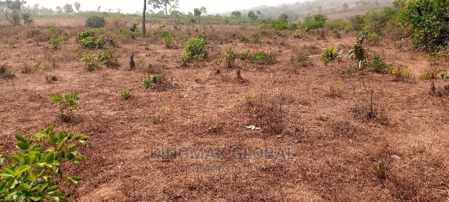 Maitama2: Strategically Located Flat Land in Maitama