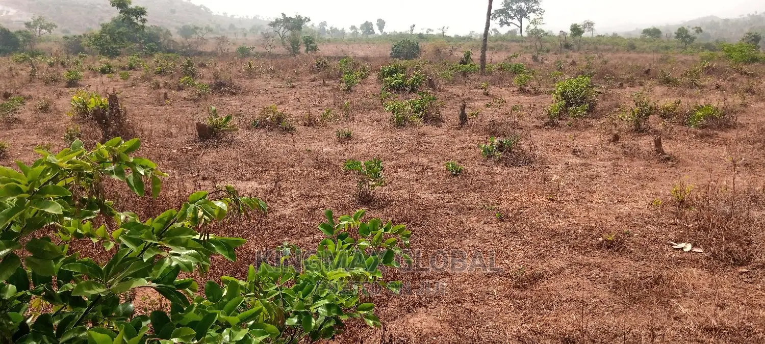 Maitama2: Strategically Located Flat Land in Maitama