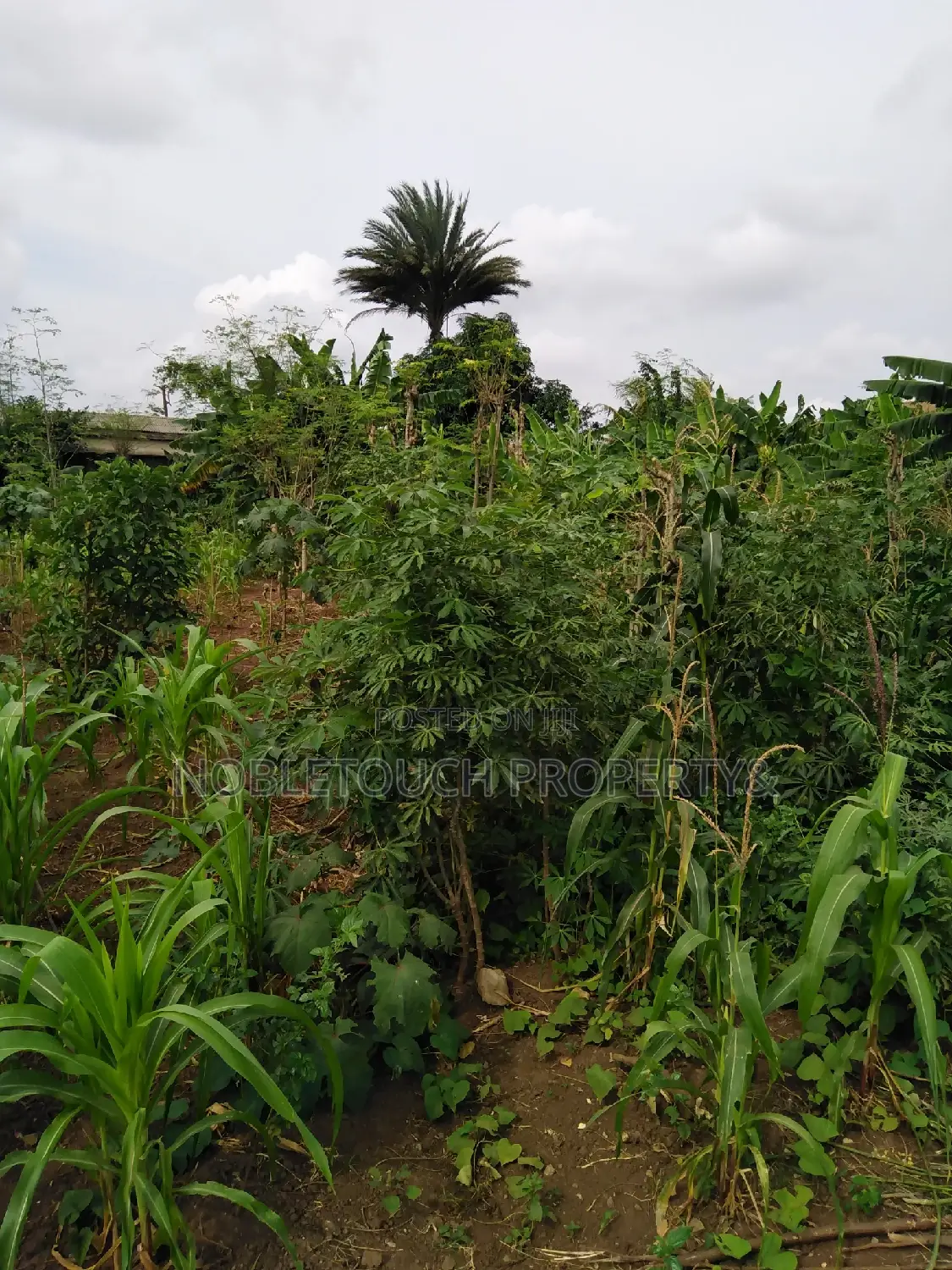 For Sale; Commercial 3 Plots of Land at dimu Ejigbo in Alimosho