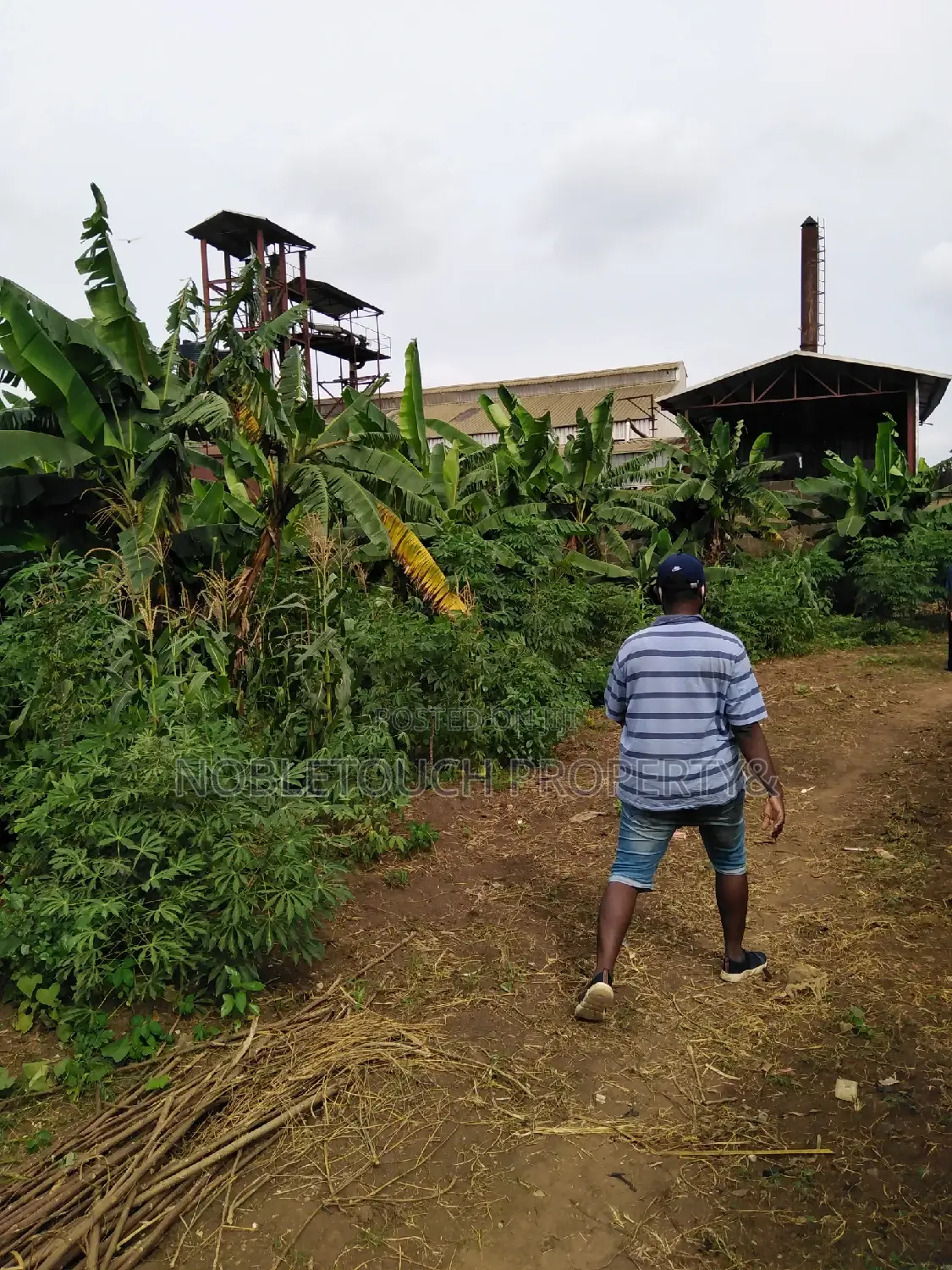 For Sale; Commercial 3 Plots of Land at dimu Ejigbo in Alimosho
