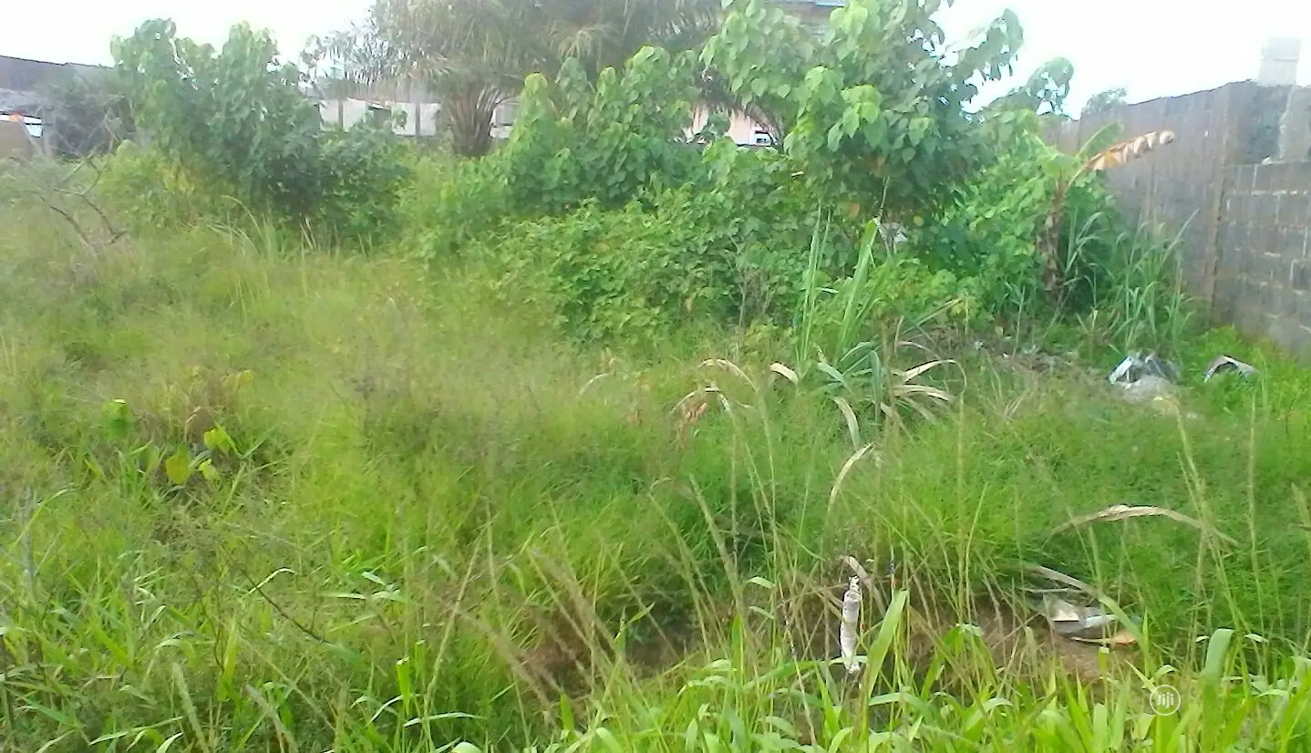 Plots of Land for Sale at Ibeju-Lekki,12mins Drive to Eleko in Lagos Island (Eko)