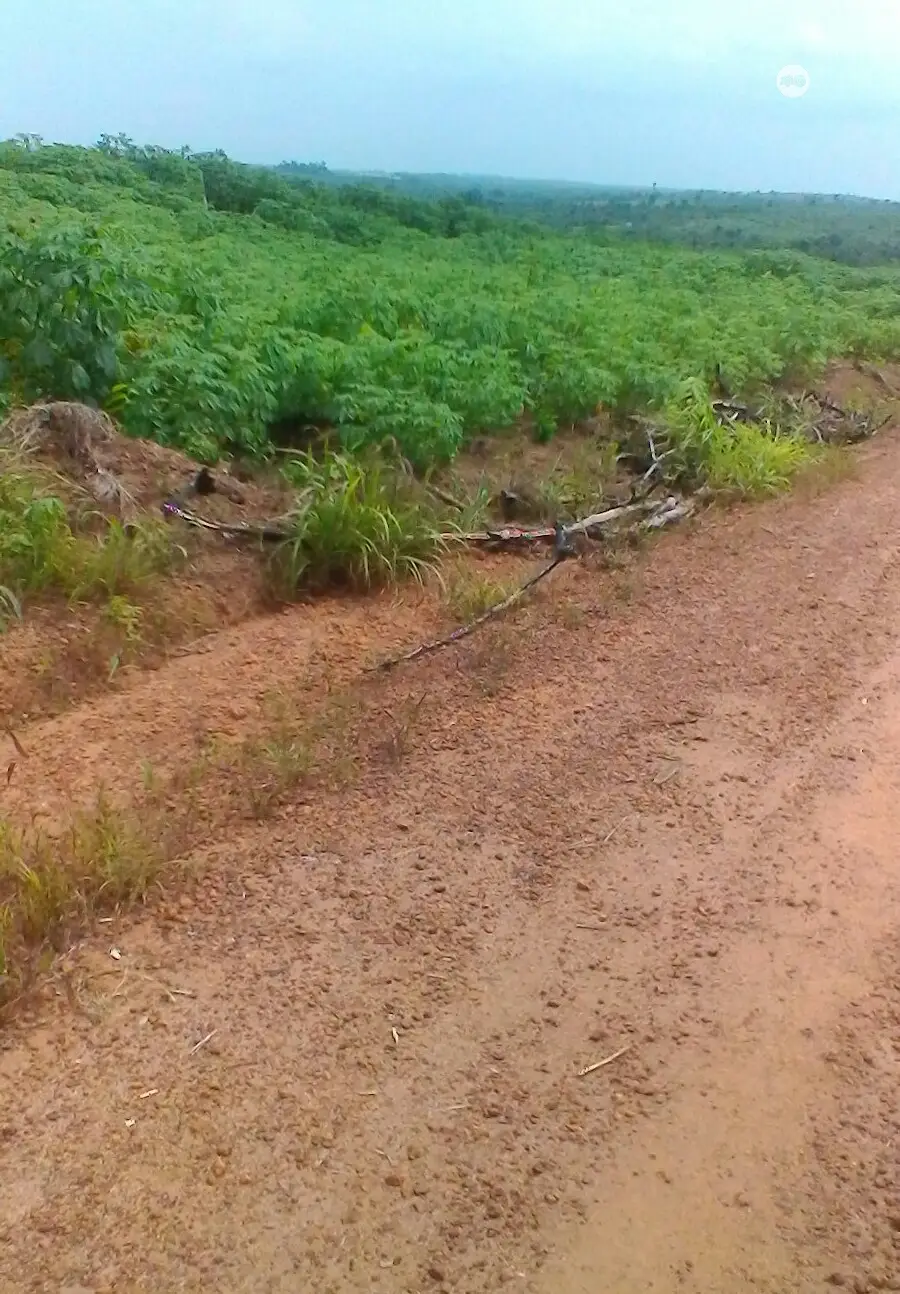 Plots of Land for Sale at Ibeju-Lekki,12mins Drive to Eleko in Lagos Island (Eko)