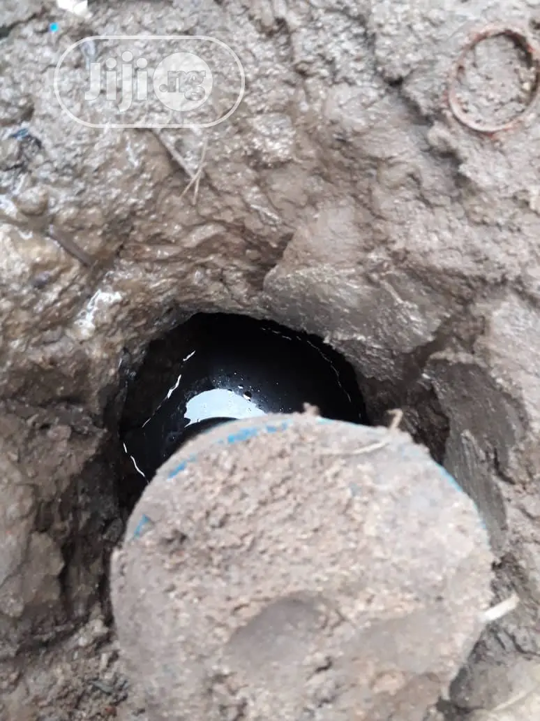 Crude Oil Land in Nembe