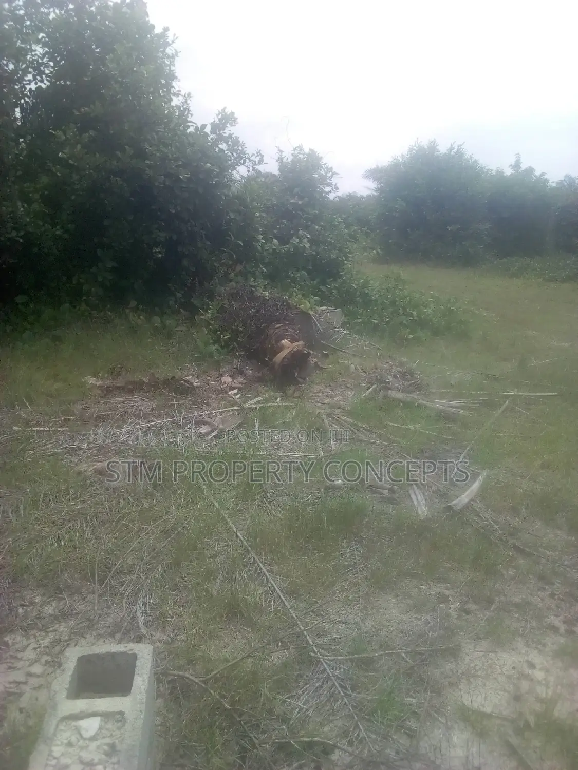 Land for Sale at Ibeju Lekki After Dangote Refinery in Ibeju