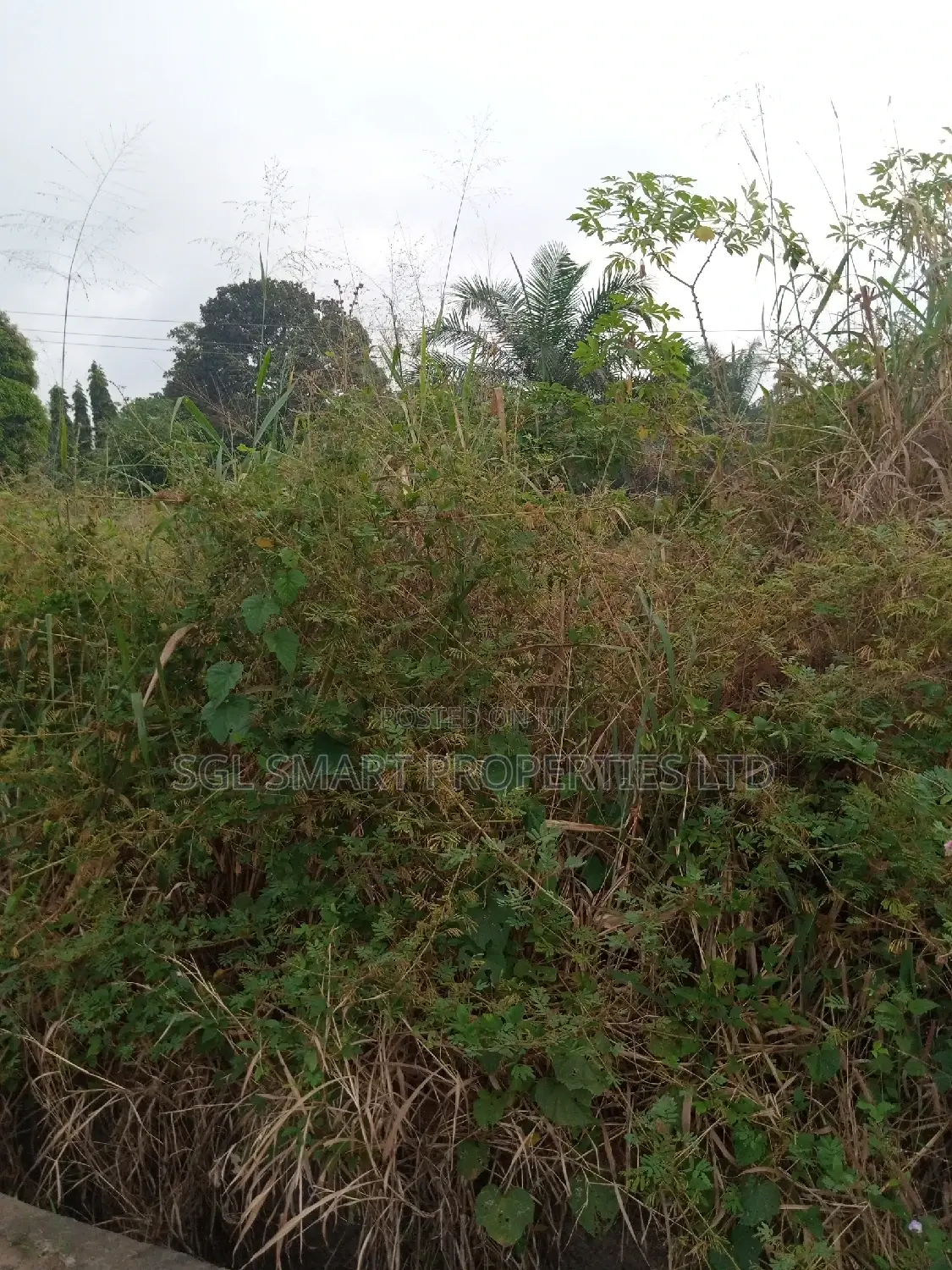 2 Plots Of Land For Sale At AGULU in Anaocha