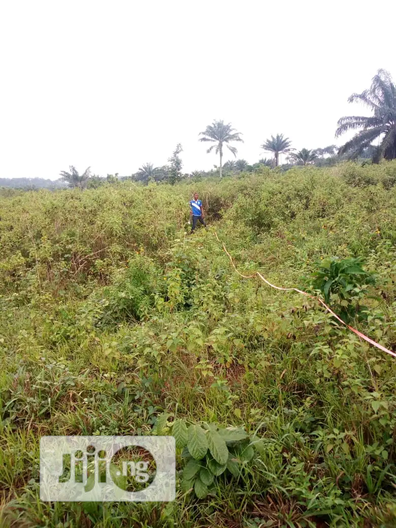 Farm Land at Igan Alade in Ayetoro