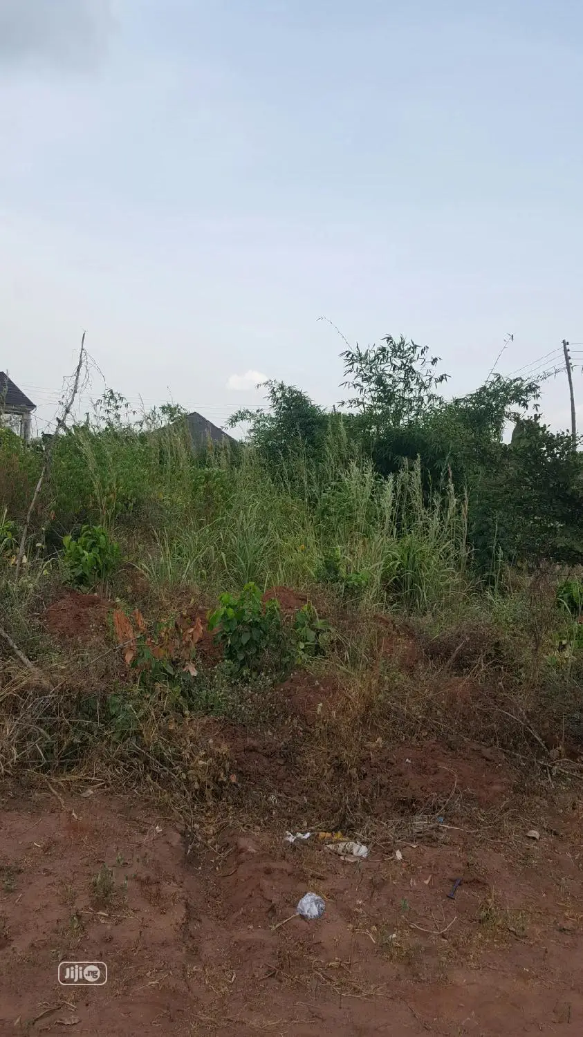 50×100 Table Land in a Good Location at Opp Okpanam City Gate, Asaba in Oshimili South
