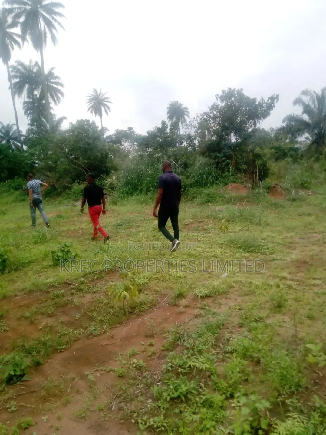 Genuine Plots Reserved Secure in an Estate at Airport in Omagwa