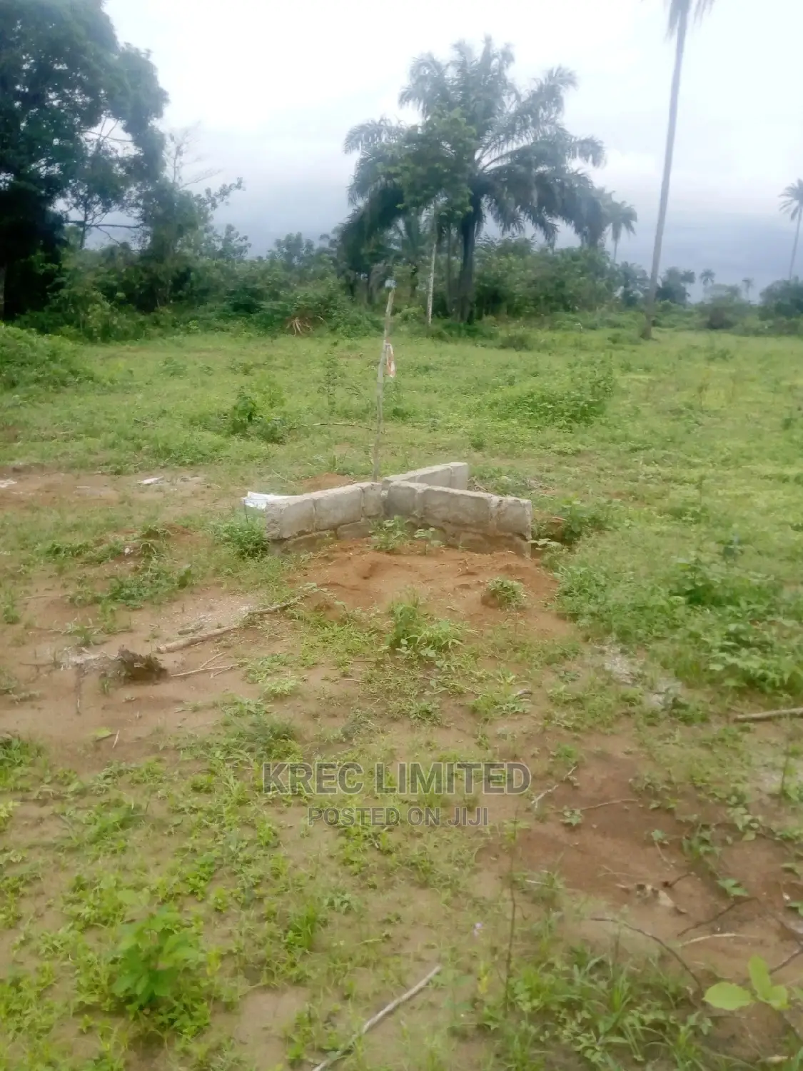 Genuine Plots Reserved Secure in an Estate at Airport in Omagwa