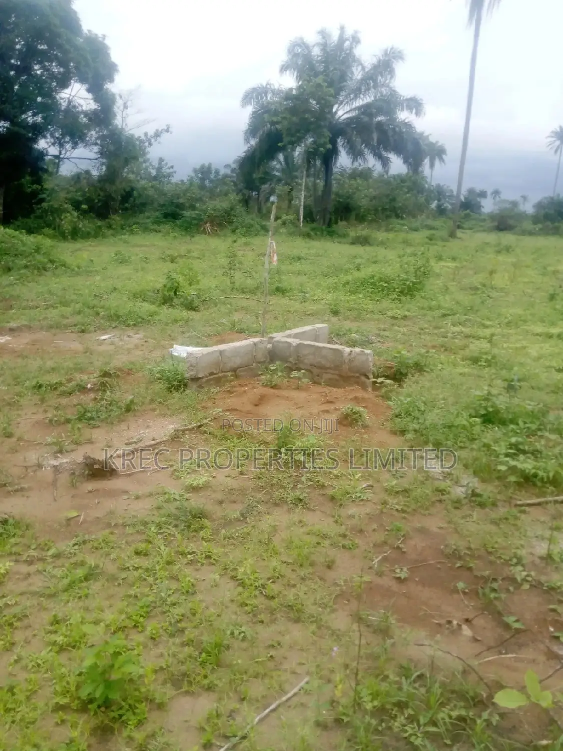 Genuine Plots Reserved Secure in an Estate at Airport in Omagwa