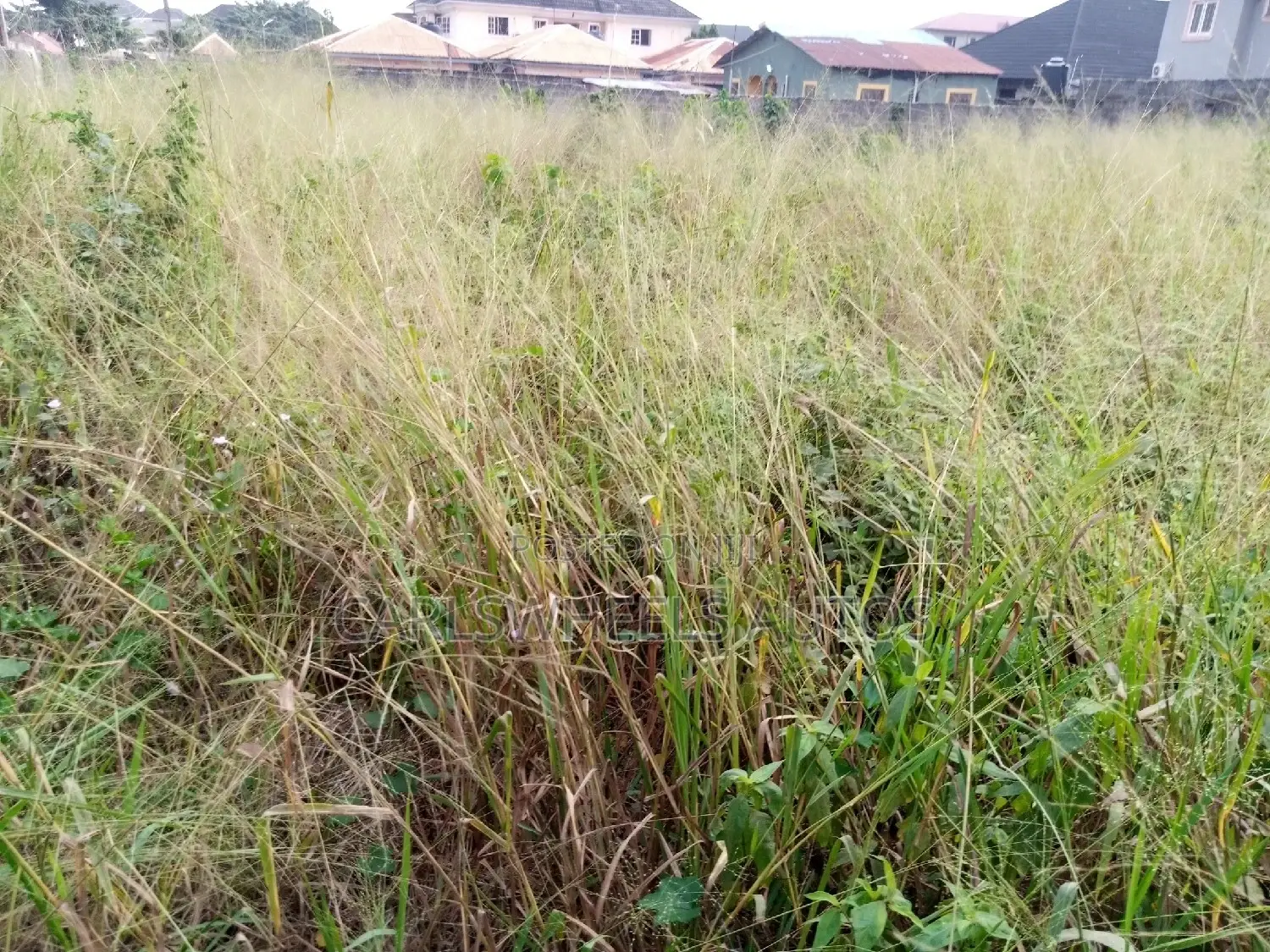 2plots of Dry Land at Alabadi Street Off Bogije Road Ibeju. in Lekki