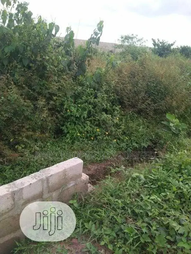 Promo Land Fine Sweet Land in Ikwerre