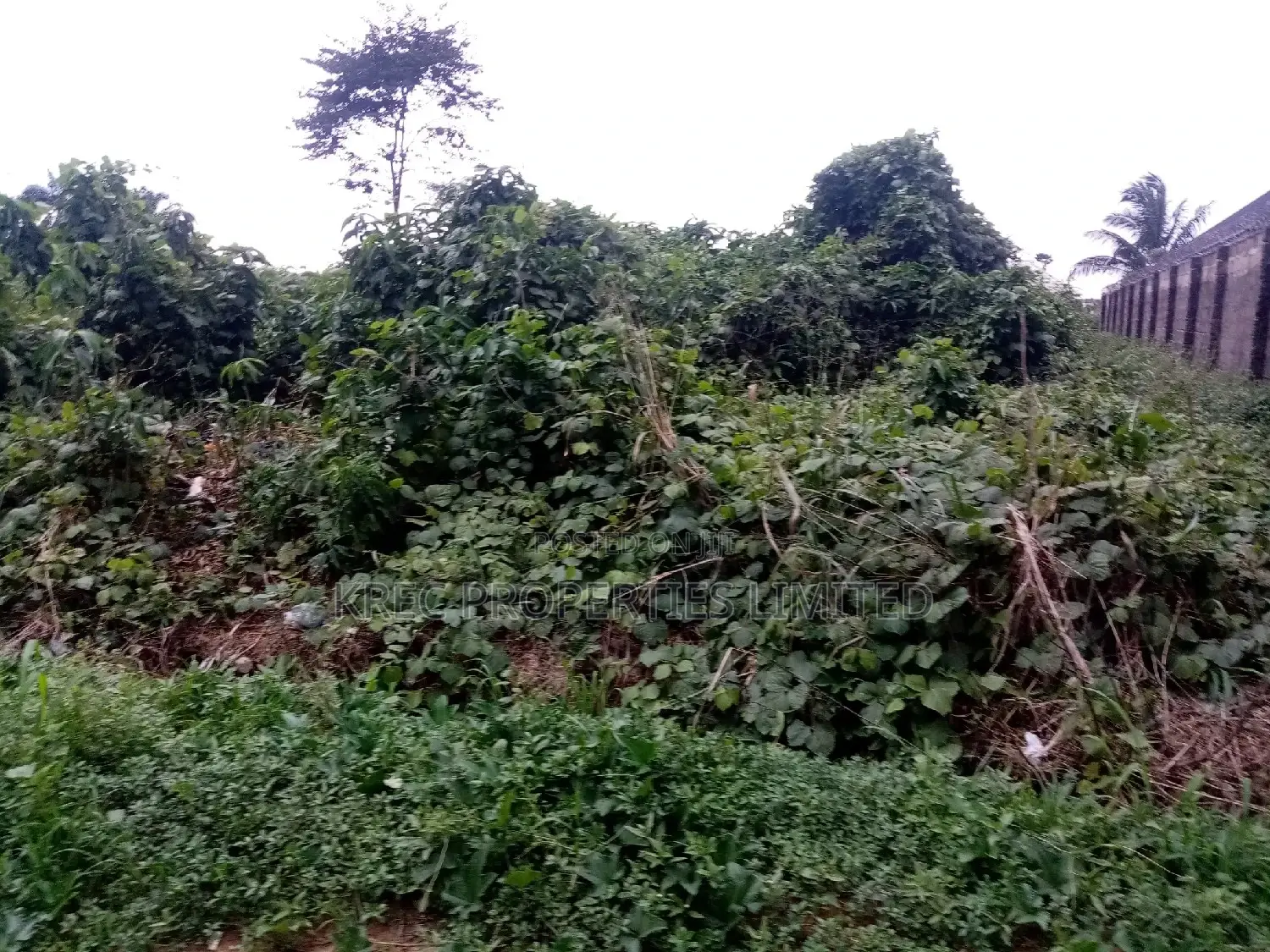Promo Land Fine Sweet Land in Ikwerre