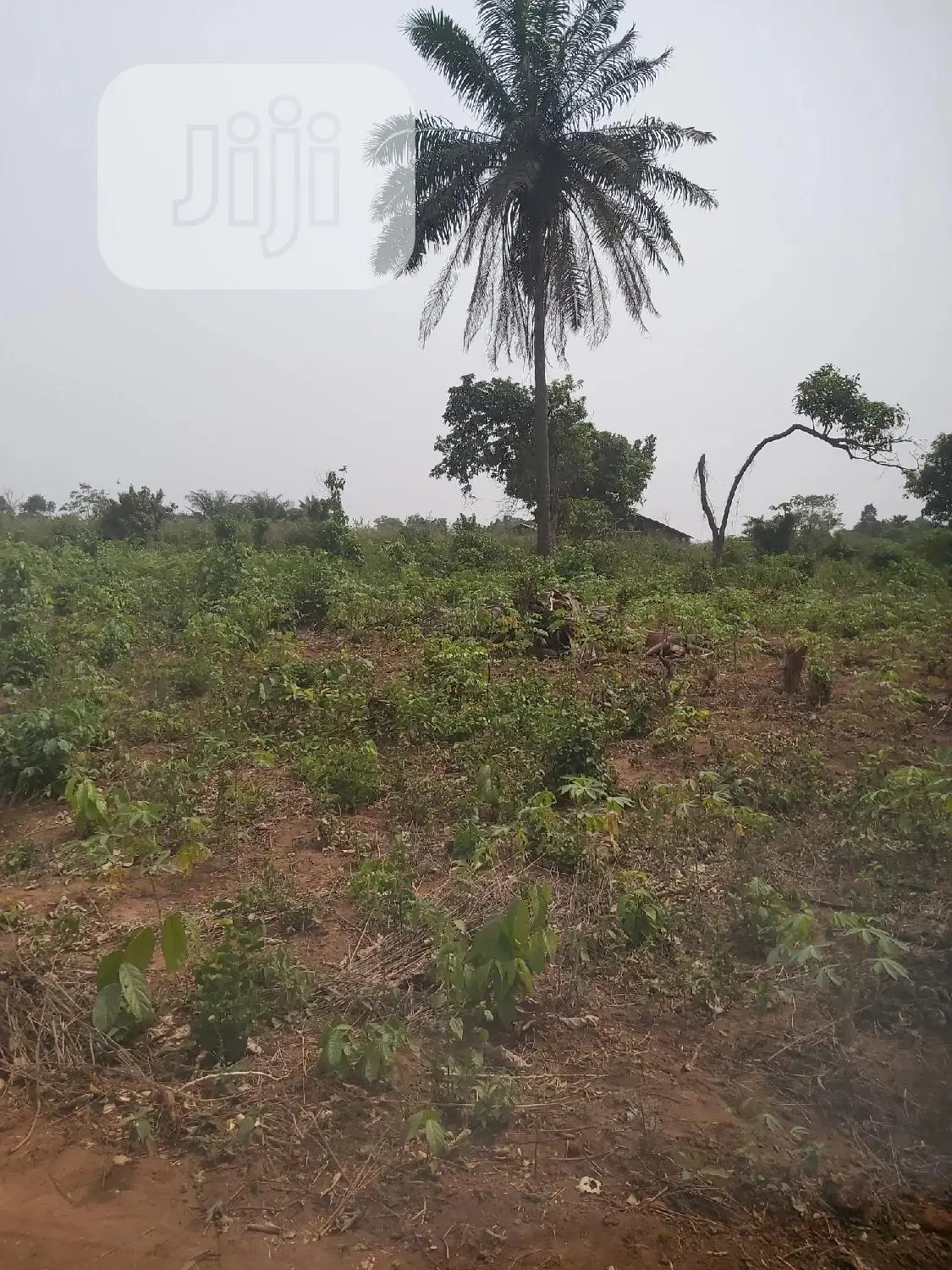 One Plot of Land at Agbowa in Ikorodu in Ikorodu
