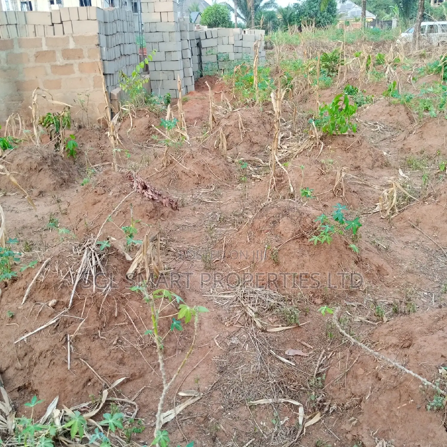 2 and Half Plots of Land at Isu Anaocha for Sale in Awka