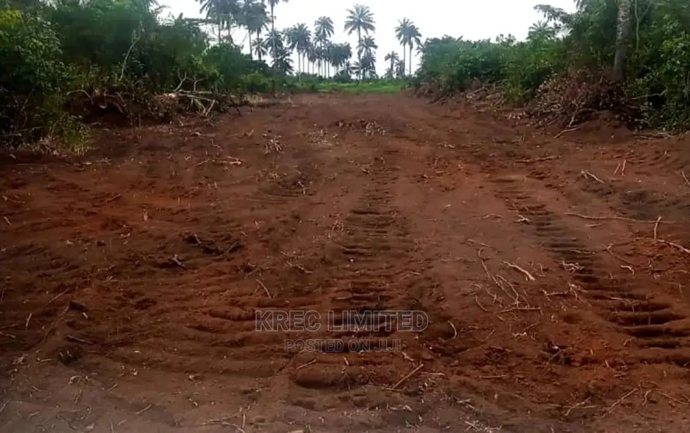 Buy and Build Land on Airport Express Ipo1 in Ikwerre