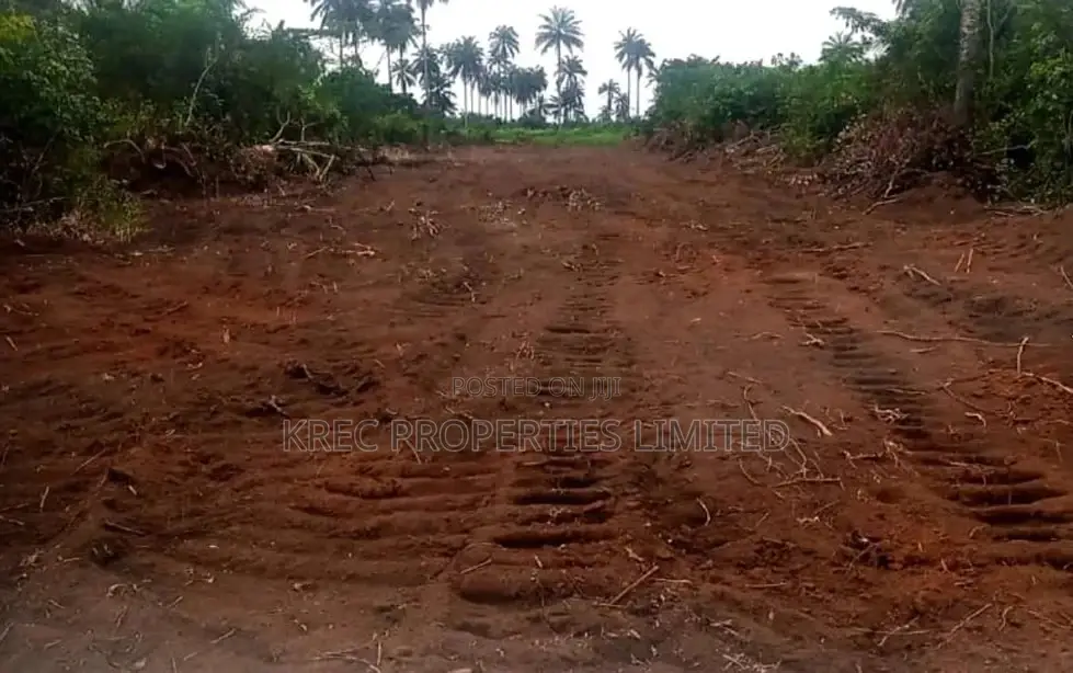 Buy and Build Land on Airport Express Ipo1 in Ikwerre