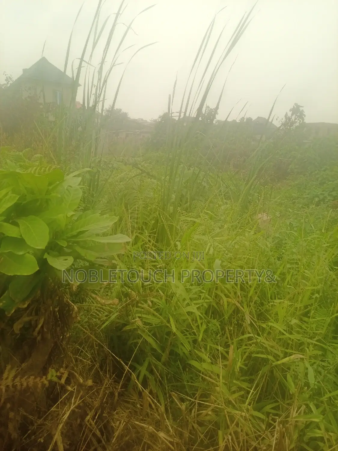 30 Acres of Land at Ketu Epe For Sale in Epe