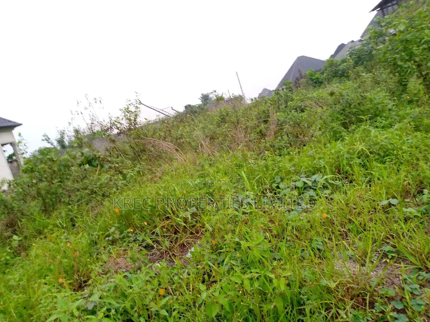 Clean Land for Sale in Omuonwa Rivers in Omagwa