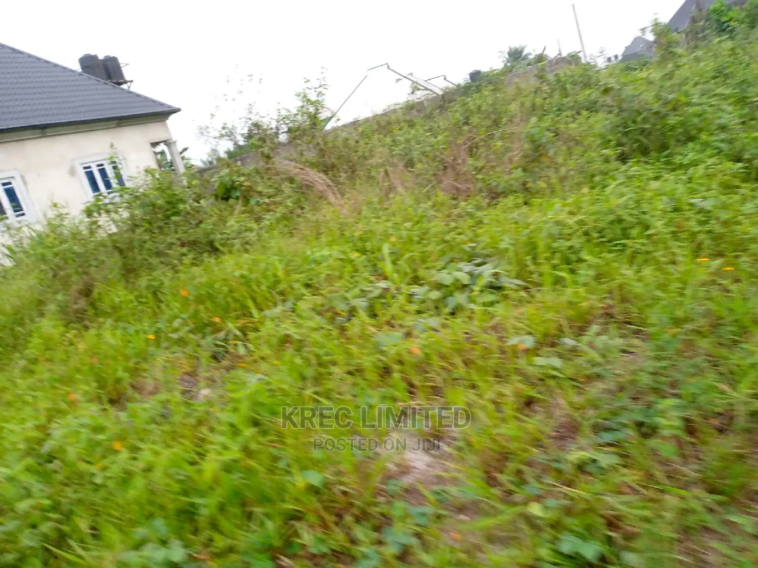 Clean Land for Sale in Omuonwa Rivers in Omagwa
