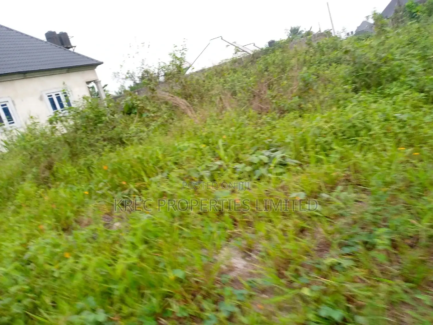 Clean Land for Sale in Omuonwa Rivers in Omagwa