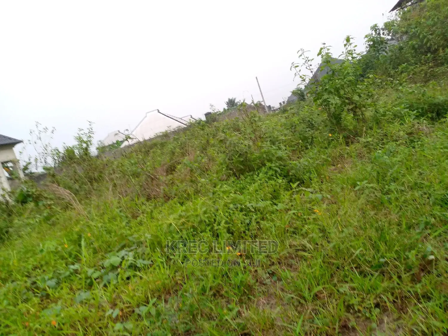 Clean Land for Sale in Omuonwa Rivers in Omagwa
