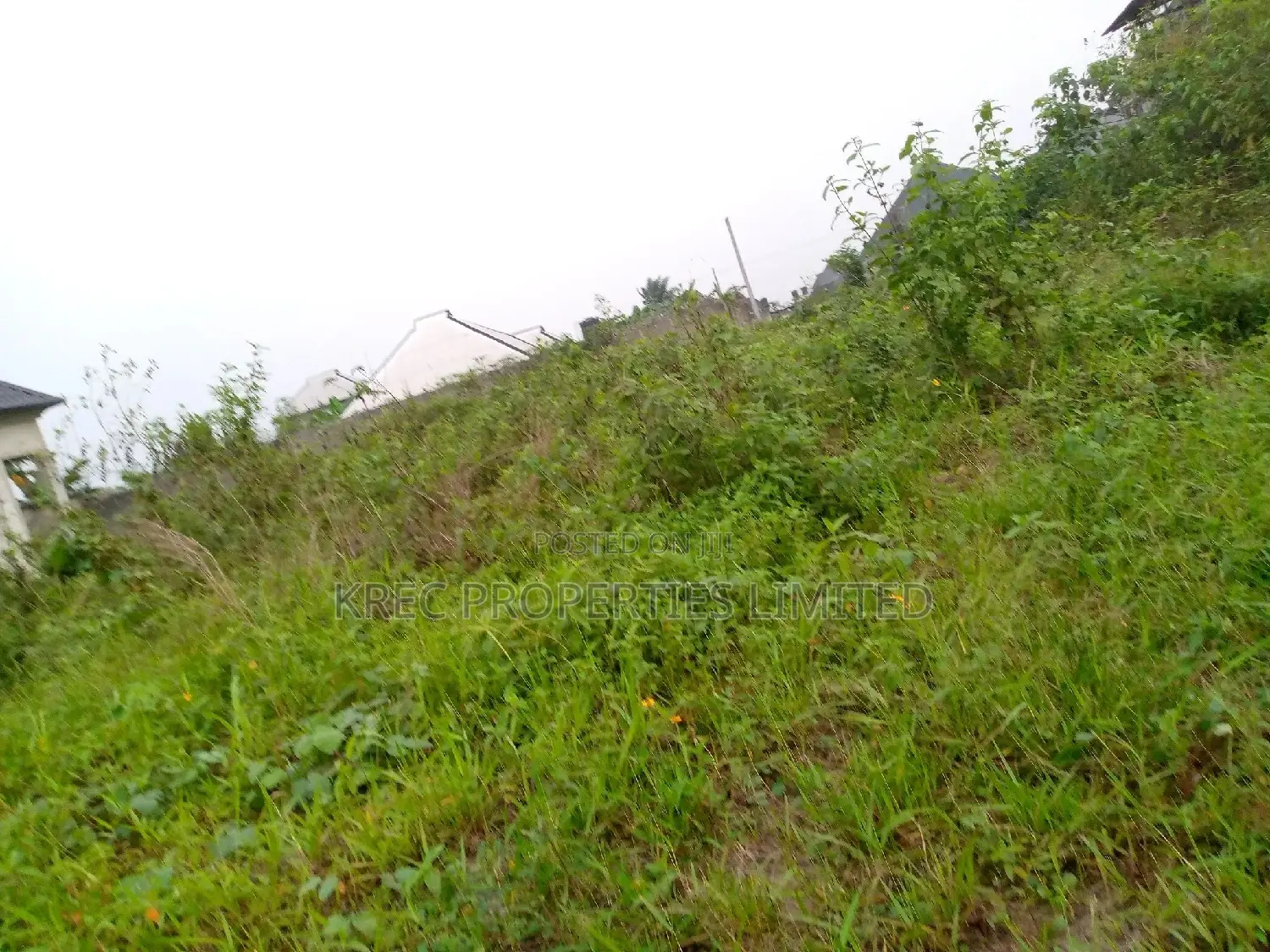 Clean Land for Sale in Omuonwa Rivers in Omagwa