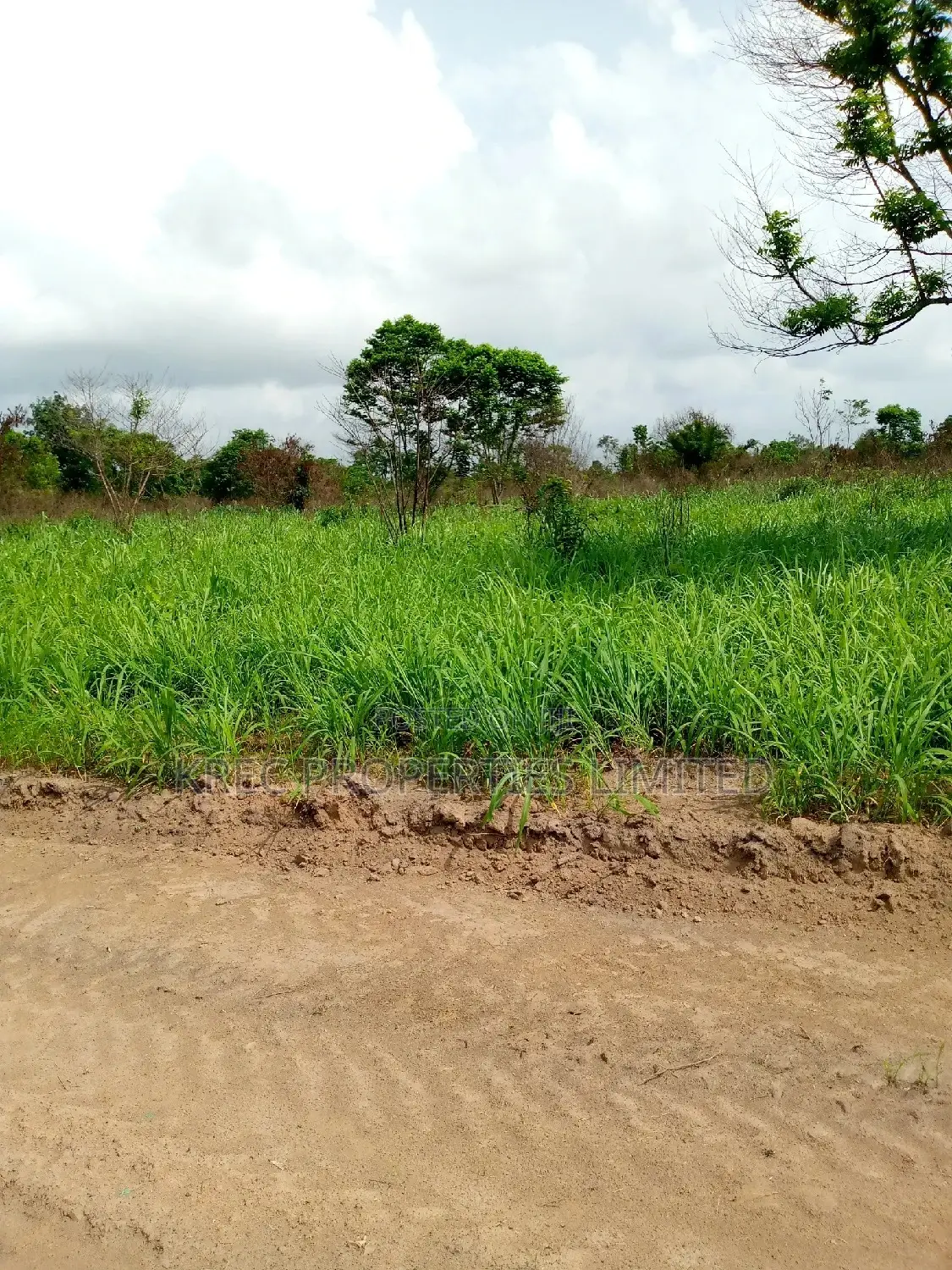 Industrial Land Very Suitable for Farmin/Industrial Purposes in Etche