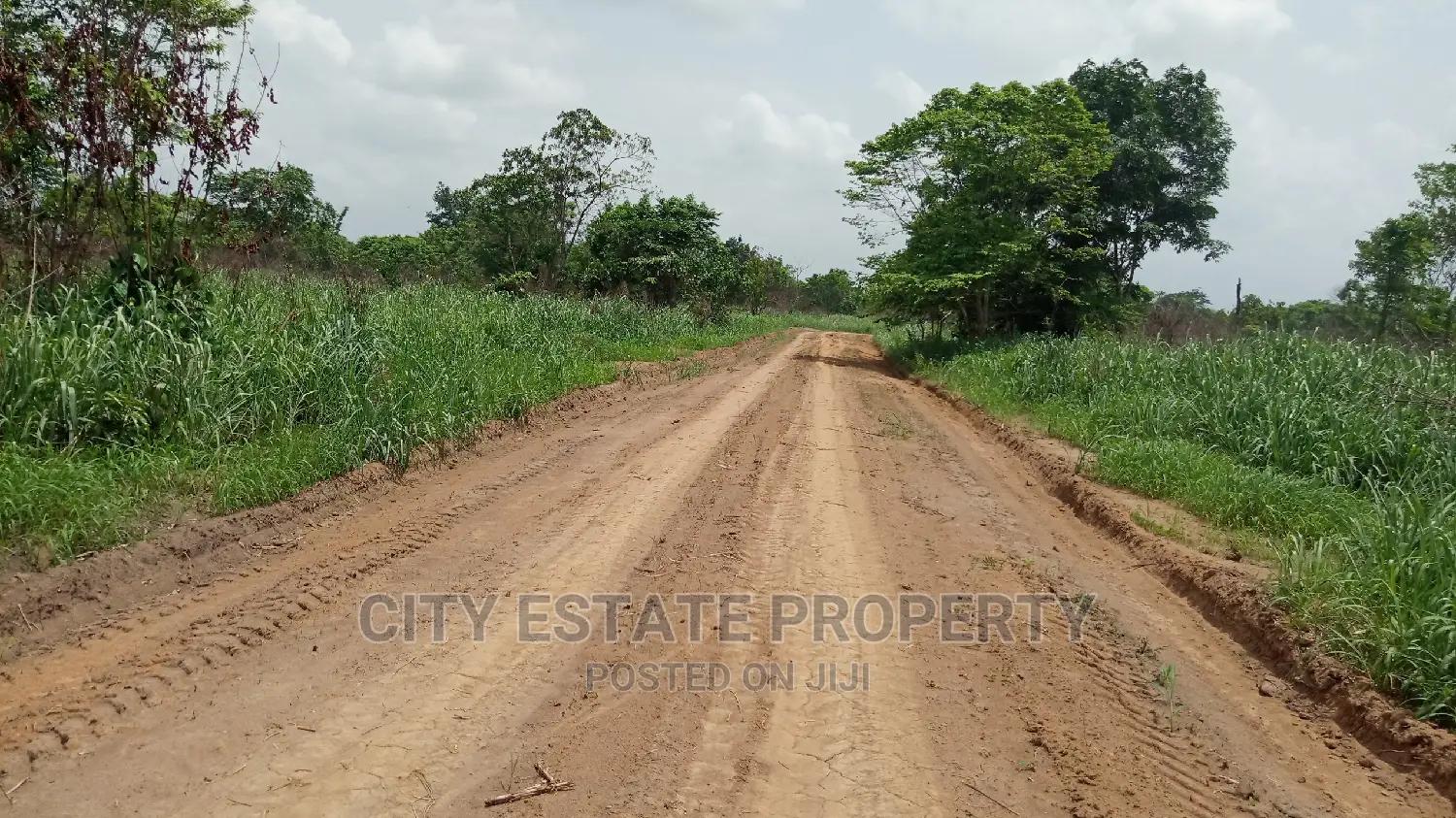 Early Bird Land for Sale Behind Portharcourt Airport in Port-Harcourt
