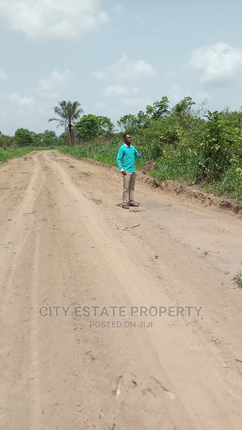 You Cant Resist Buying This Land When You See It in Port-Harcourt