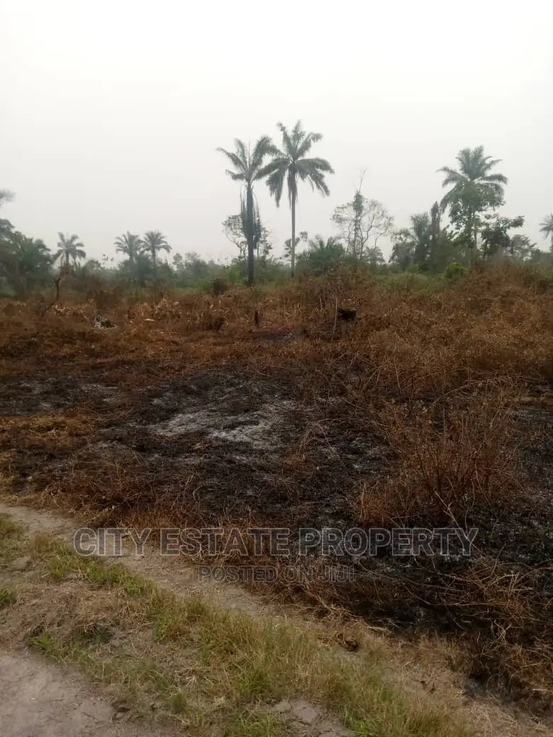 Large Vast Land for Sale in Portharcourt in Port-Harcourt