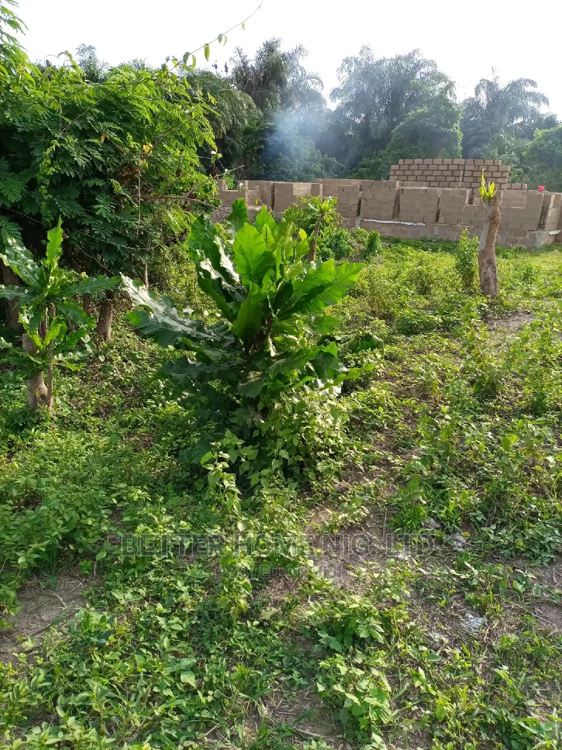 Land for Sale With Register Survey With Agreement in Oluyole