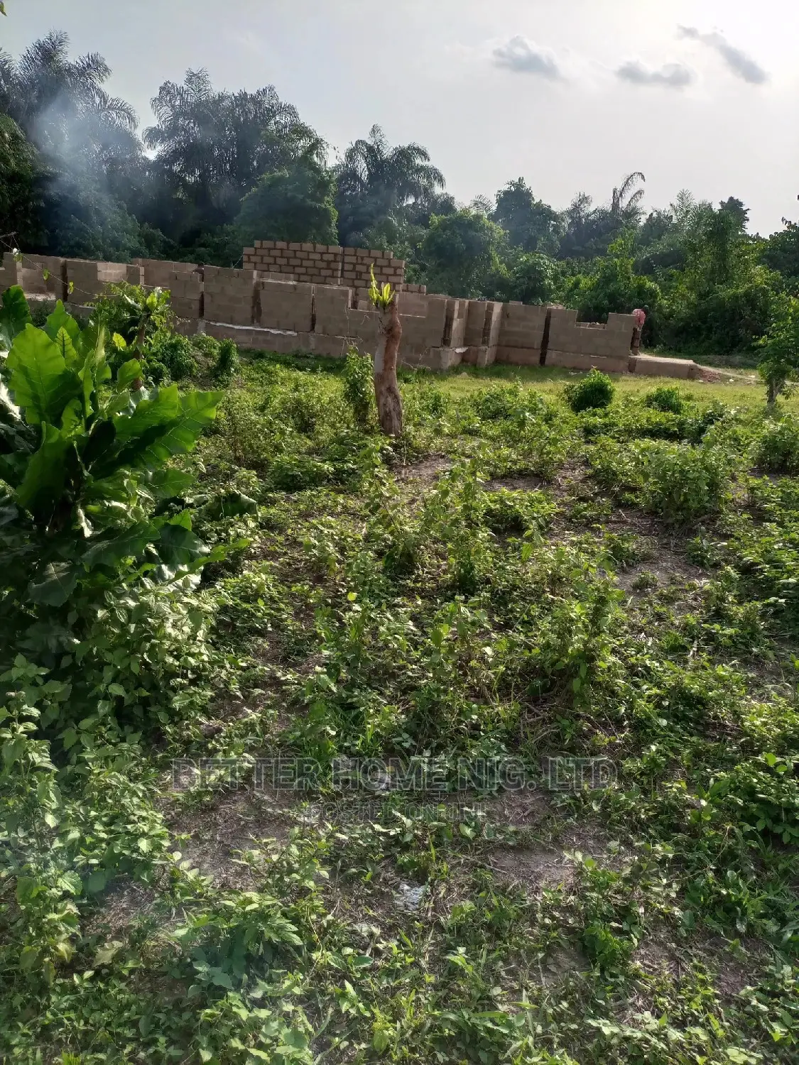 Land for Sale With Register Survey With Agreement in Oluyole