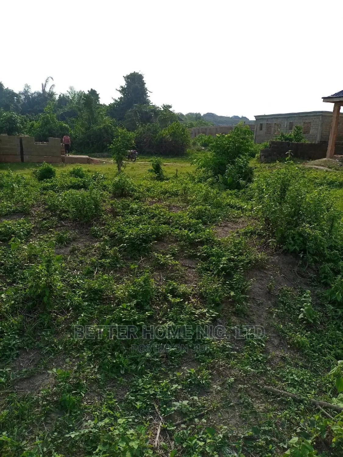 Land for Sale With Register Survey With Agreement in Oluyole