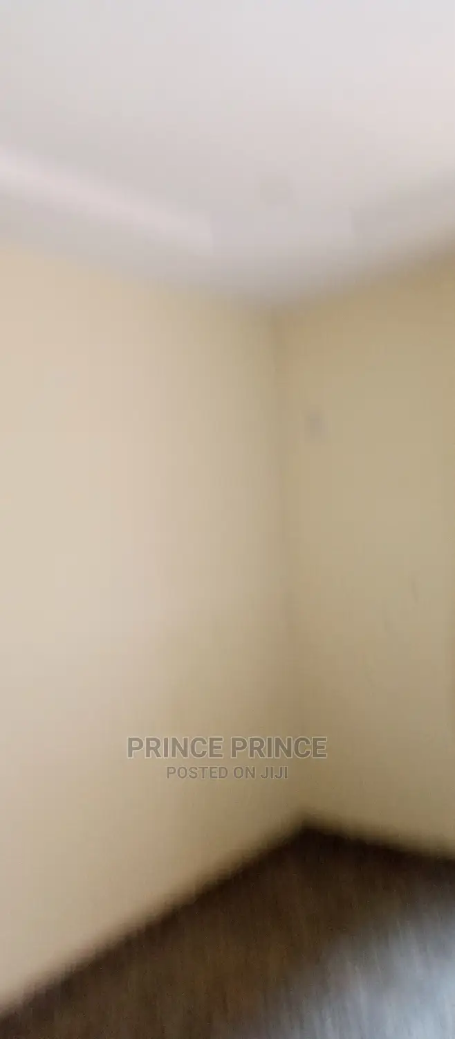 Furnished 1bdrm Apartment in Surulere for rent in Surulere