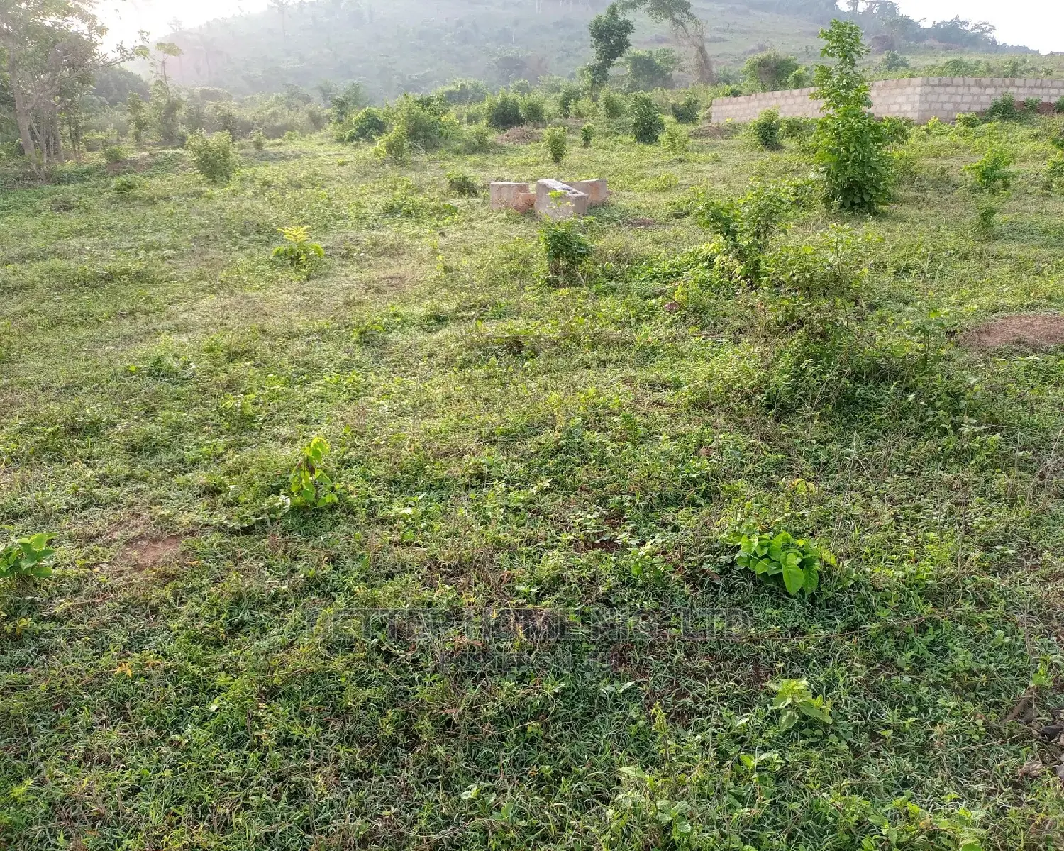 Land For Sale With Register Survey in Oluyole