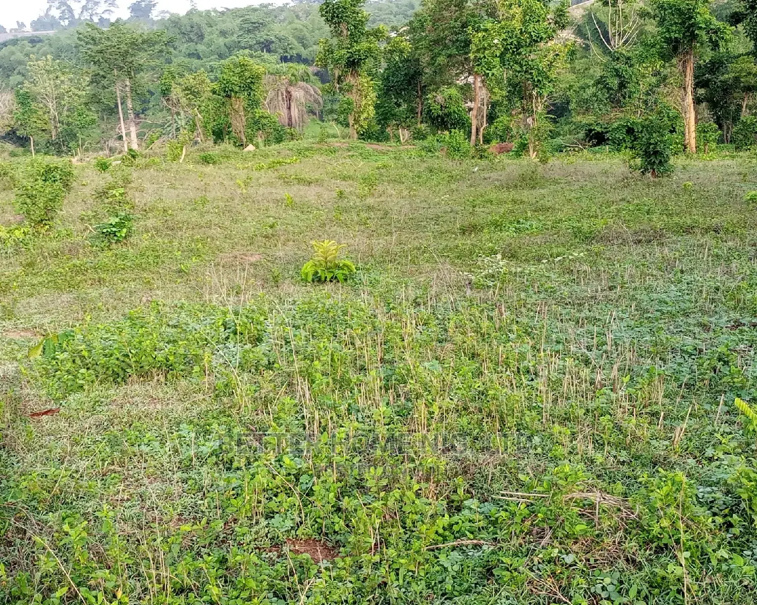 Land For Sale With Register Survey in Oluyole