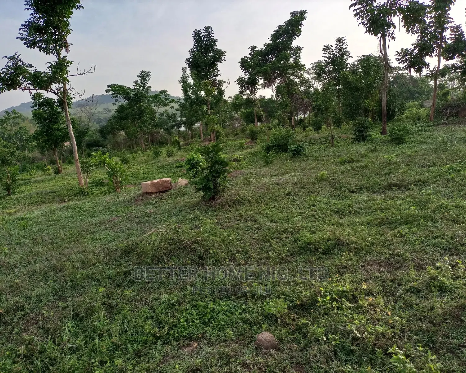 Land For Sale With Register Survey in Oluyole