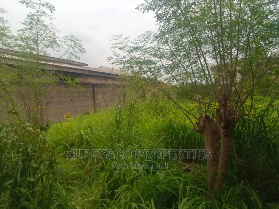 Half Plot for Sale Off Ilo Awela Toll Gate in Ado-Odo/Ota
