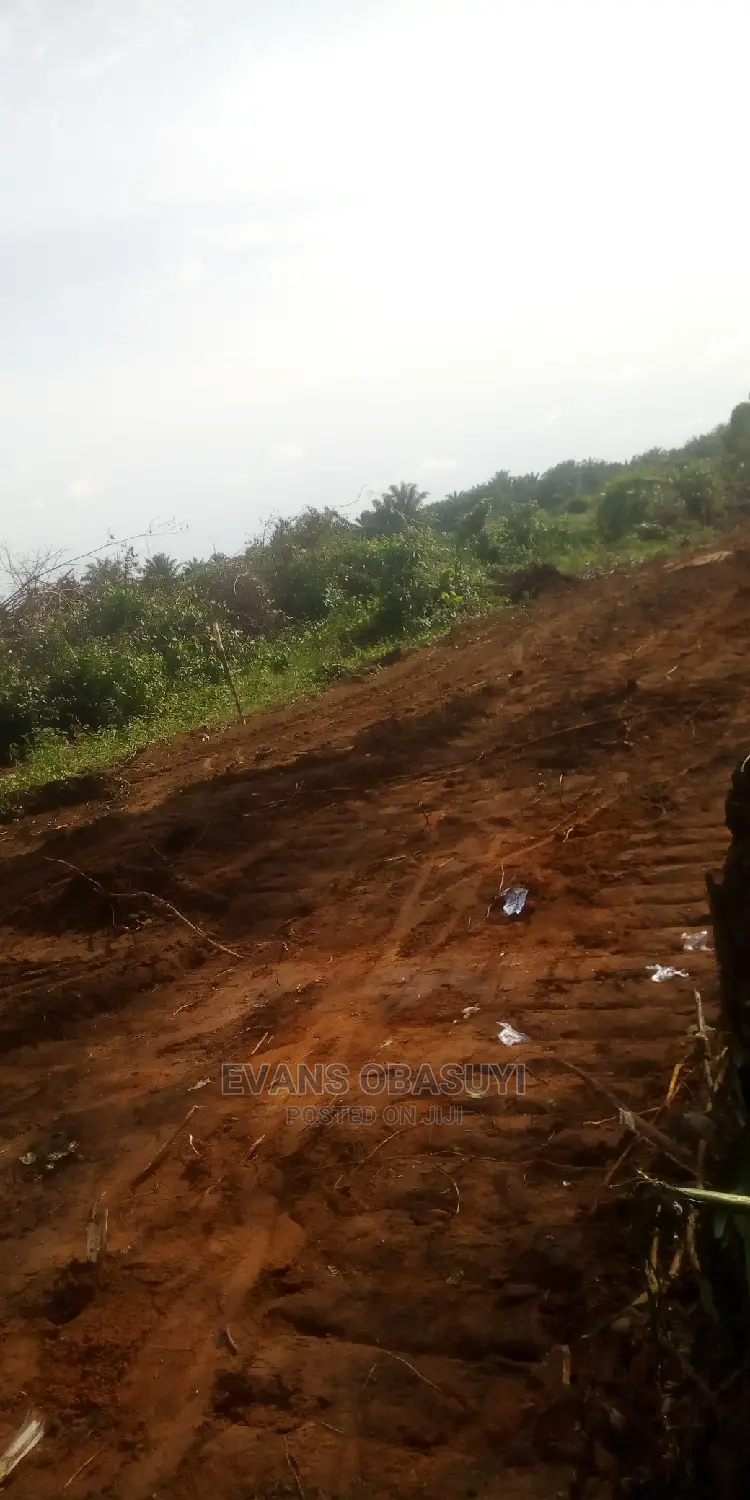Lands Available Up to 100plots for Your Residential or Com. in Benin City