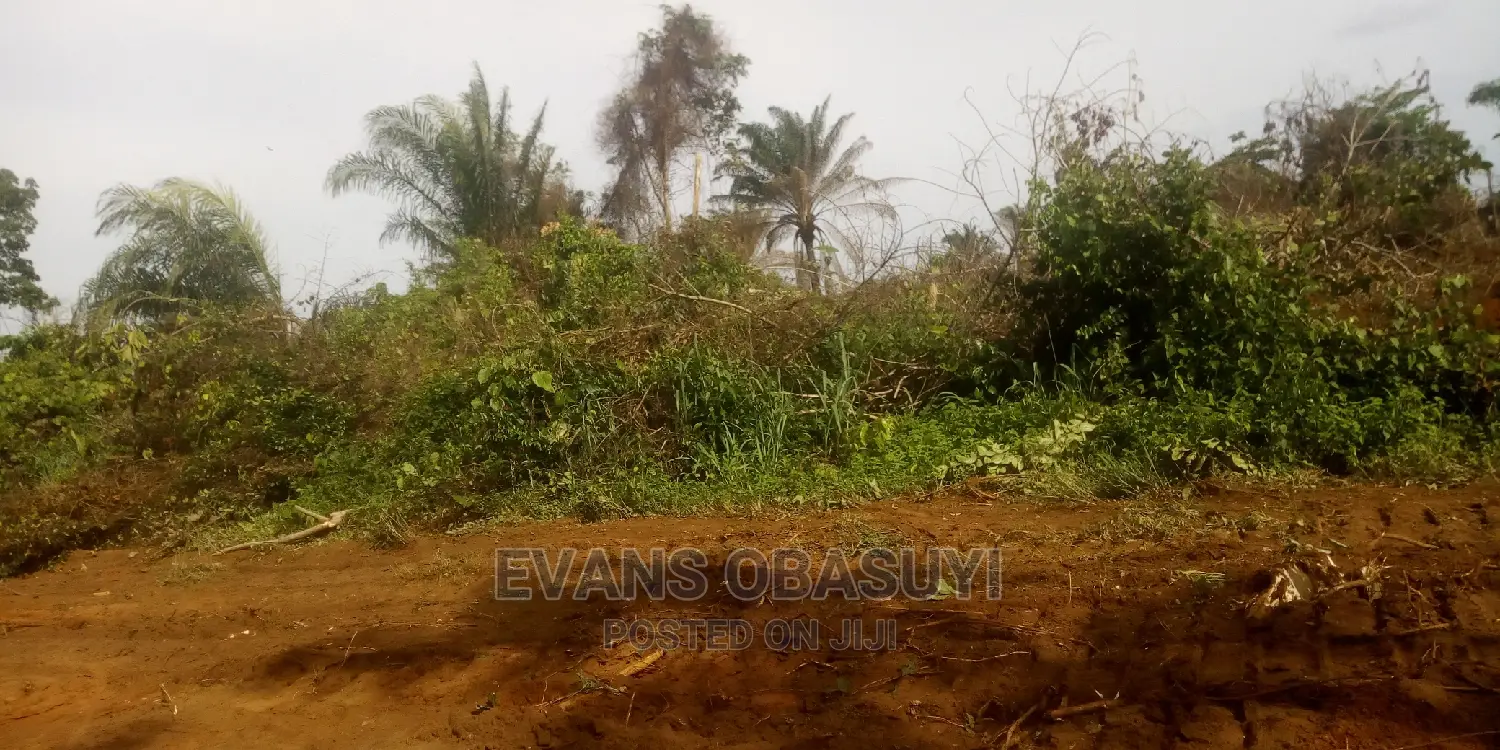 Lands Available Up to 100plots for Your Residential or Com. in Benin City