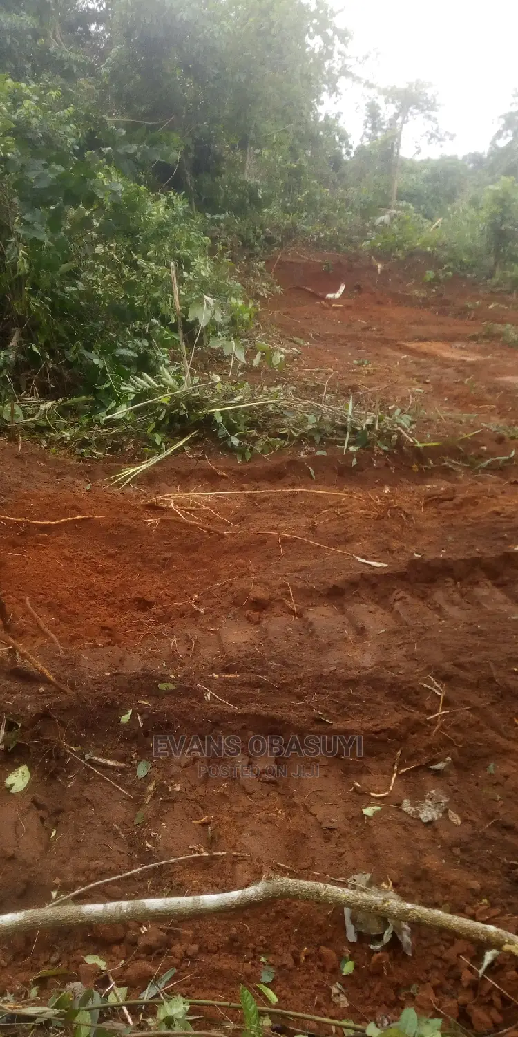 Lands Available Up to 100plots for Your Residential or Com. in Benin City