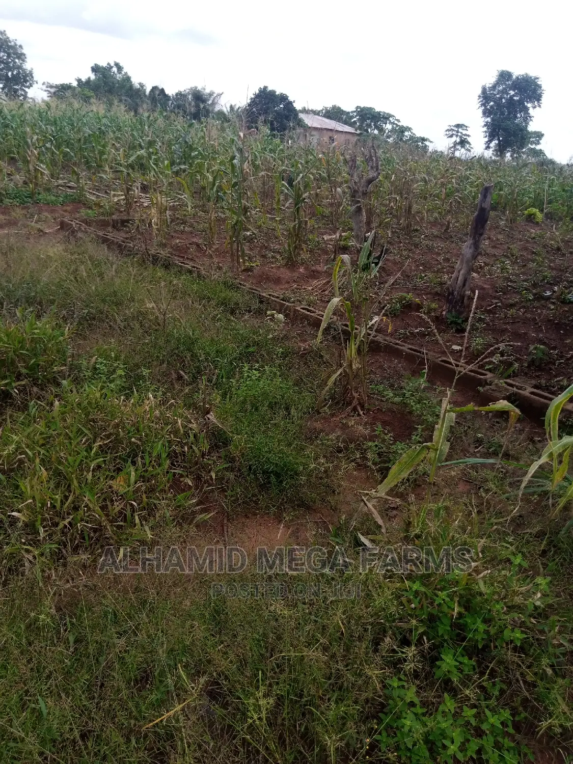 Residential 4 Plots of Land for Sales in Ilaro